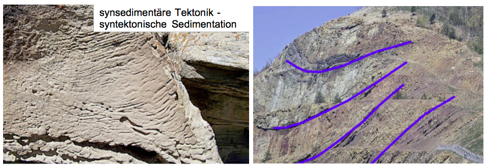 synsedimentäre Tektonik - syntektonische Sedimentation